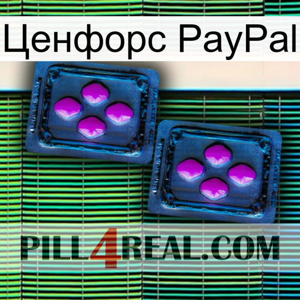 Ценфорс PayPal 03.jpg